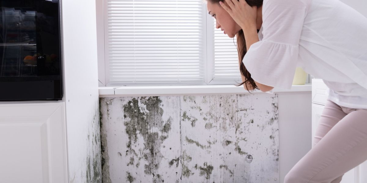 mold removal in Fairfax, VA